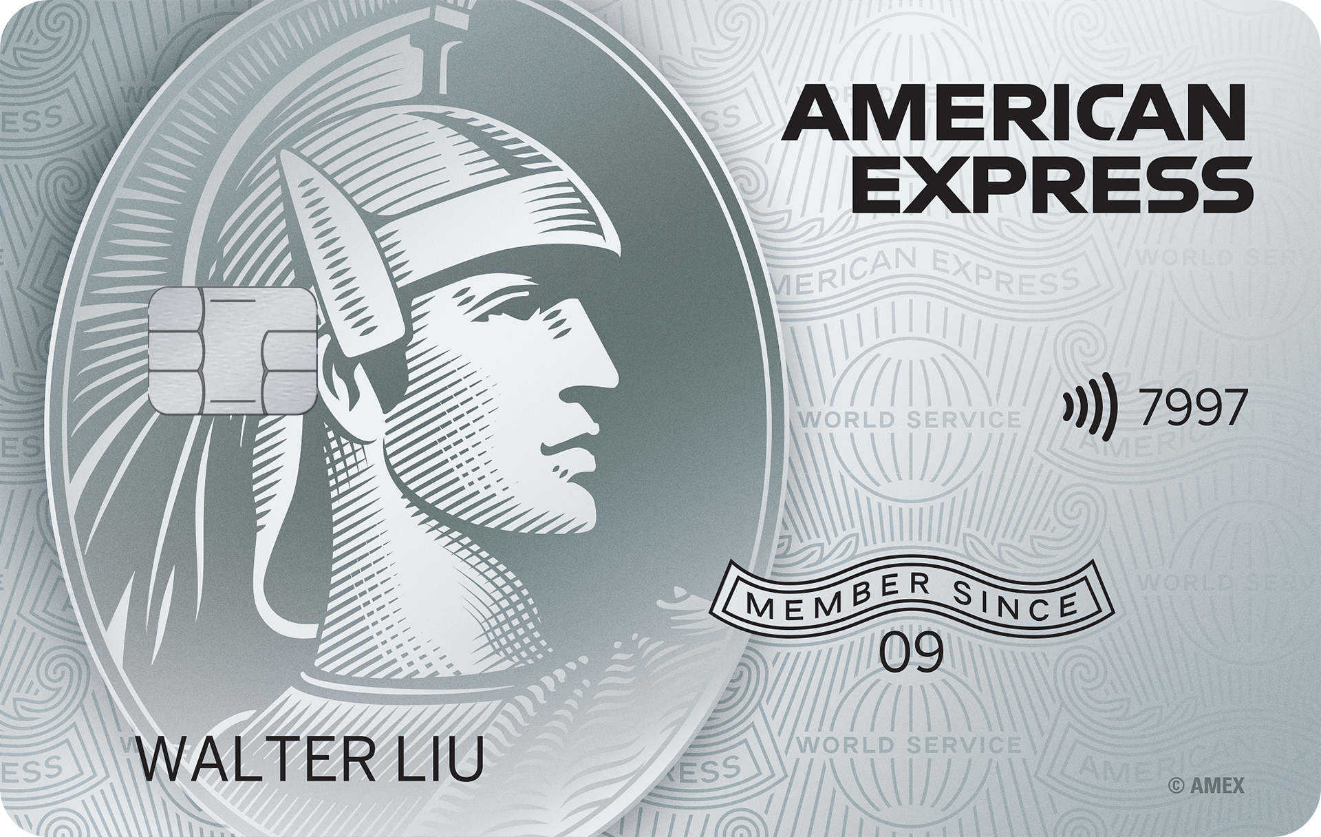 American Express Platinum Credit Card · American Express International Incorporated